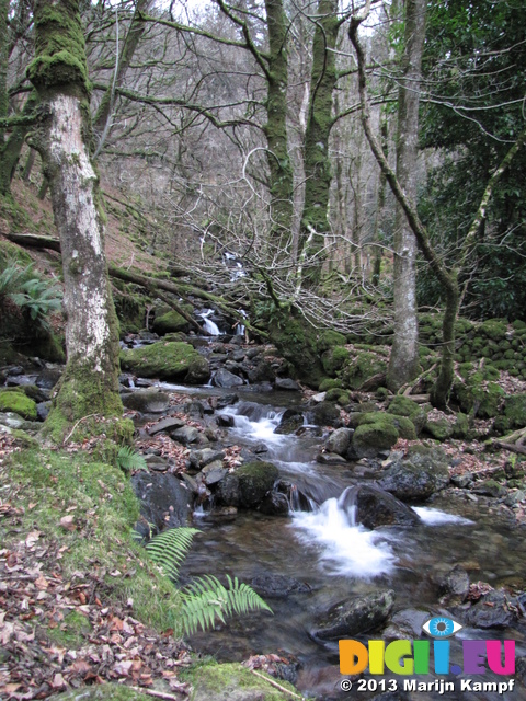 SX32890 Falls in Nant Cadair